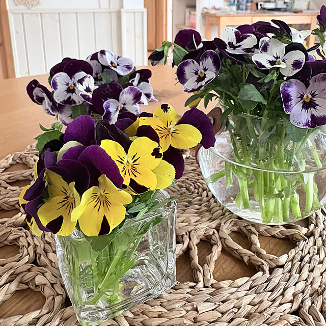 bestwishes.ryokoさんの部屋