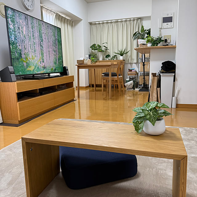 sakura-51さんの実例写真