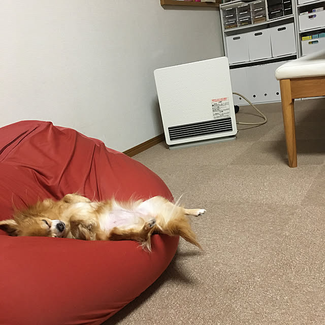 koroさんの実例写真