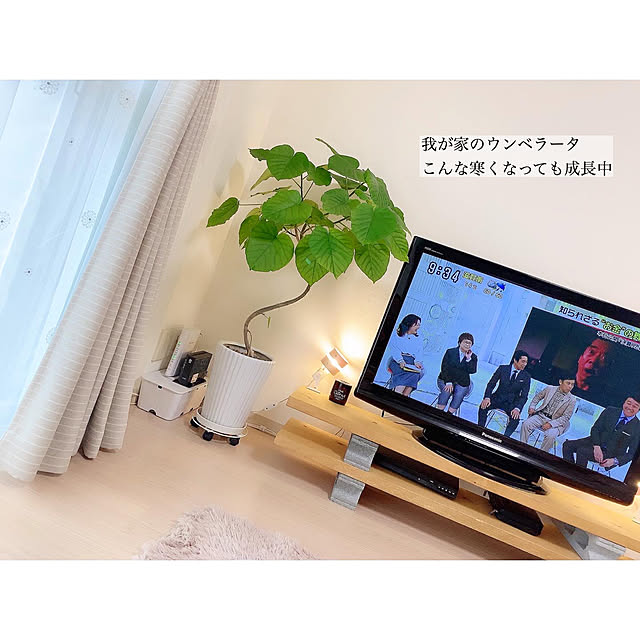 chaluさんの実例写真