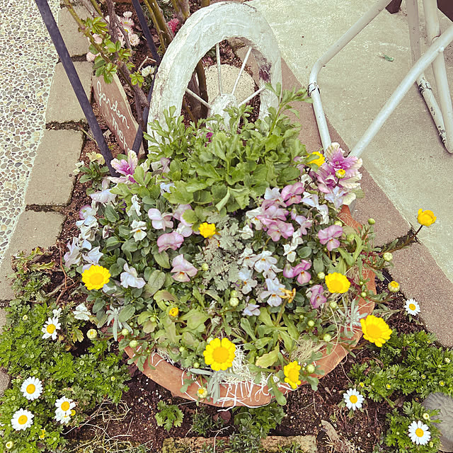 chiechanさんの実例写真