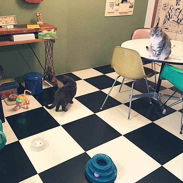 Shojiさんの実例写真