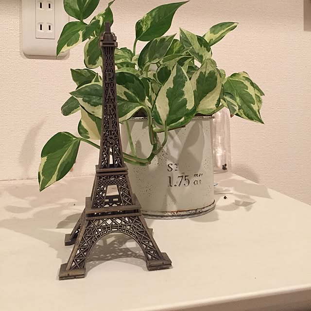 saffyさんの実例写真