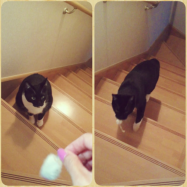 kirakirahikaruさんの実例写真