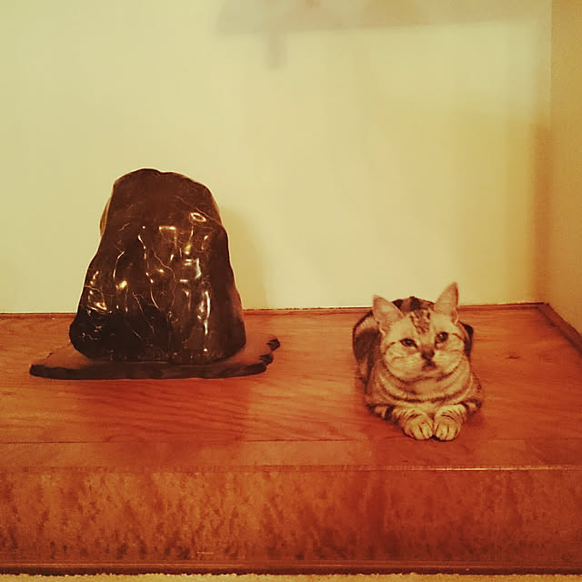 La12さんの実例写真