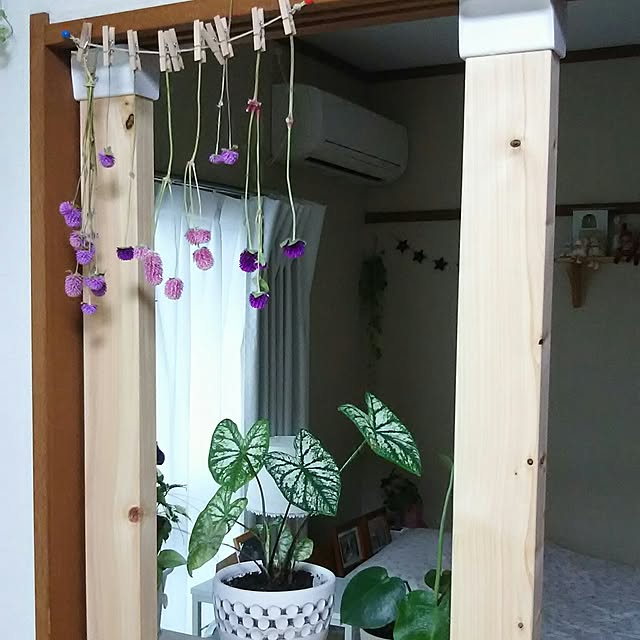 naopyiさんの実例写真