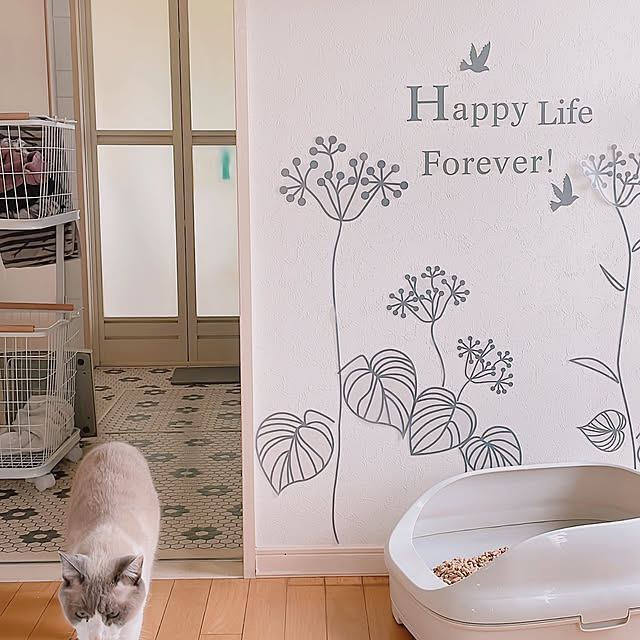 milkcocoaさんの部屋