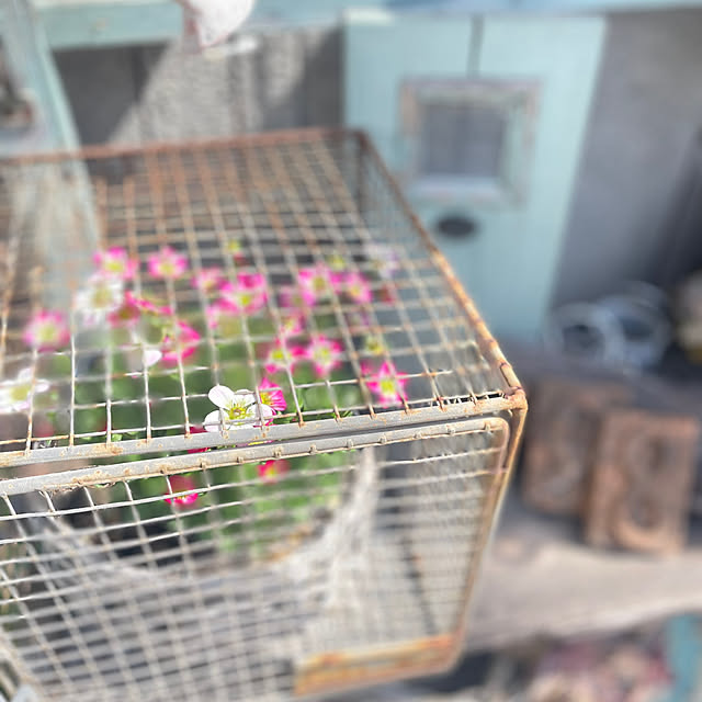 Makoさんの部屋
