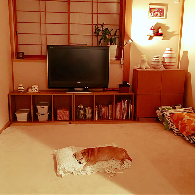 haritakaさんの実例写真