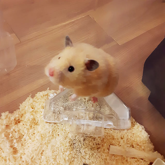 milkyさんの実例写真