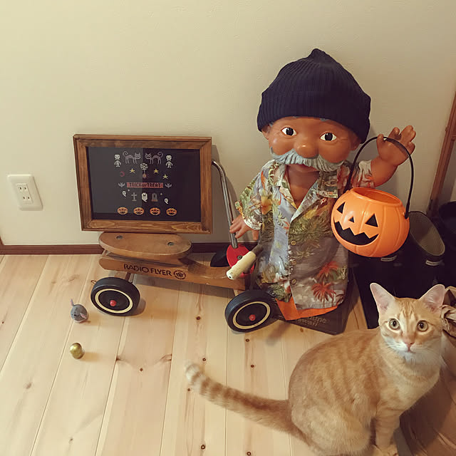 snowさんの実例写真