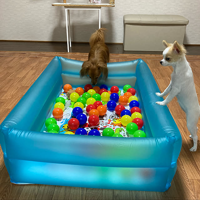 toratanさんの実例写真