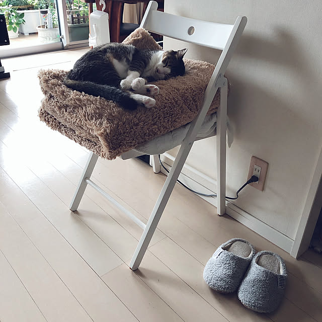 nekomiさんの実例写真