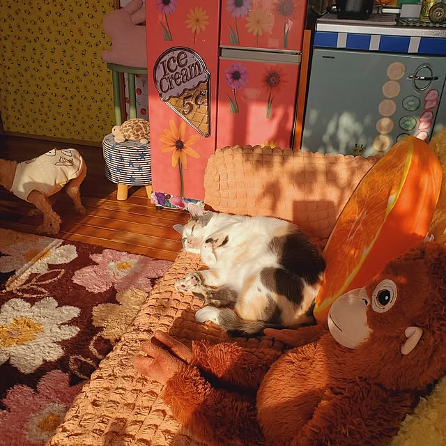 kumutanさんの実例写真