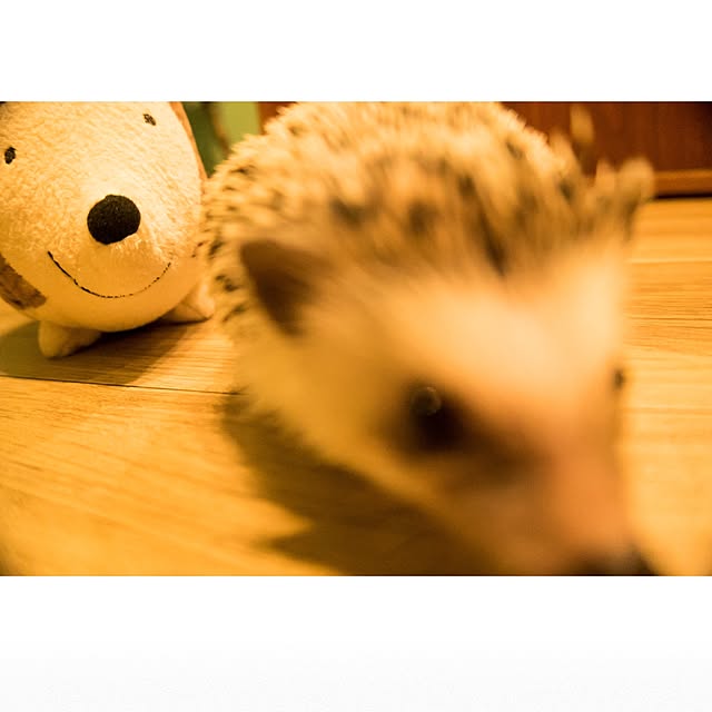 ctaさんの実例写真