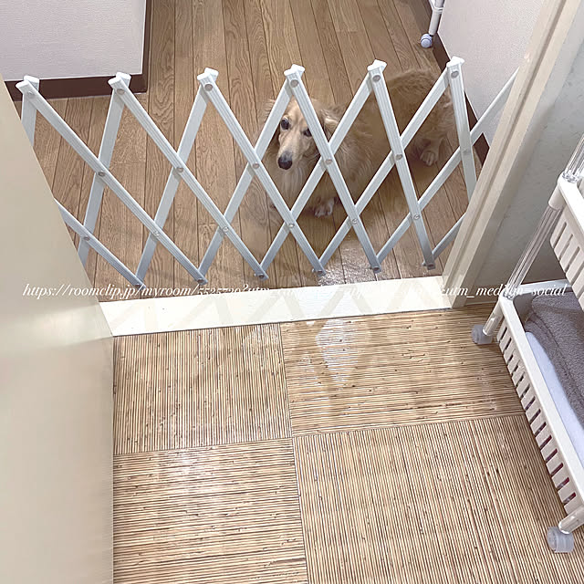 locaさんの実例写真