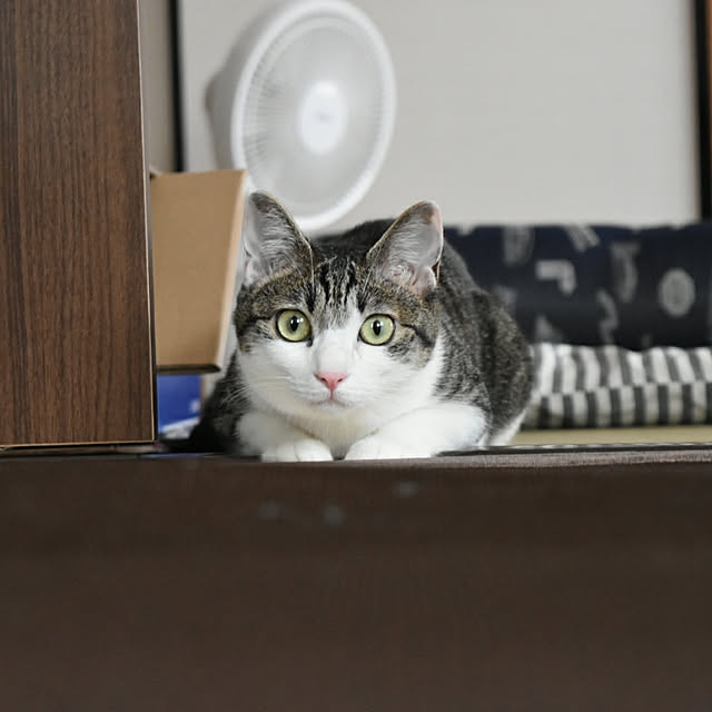 kiraさんの実例写真