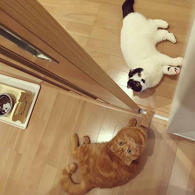 pinaminさんの実例写真