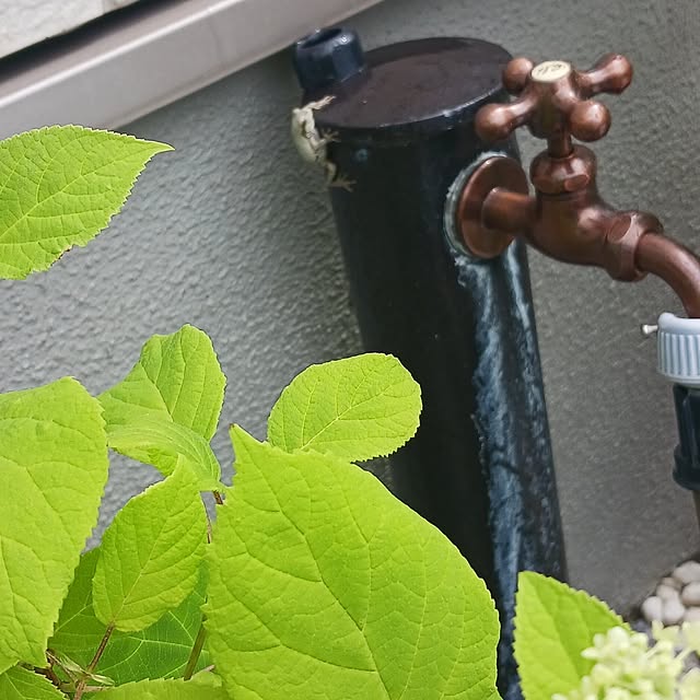 aiさんの実例写真