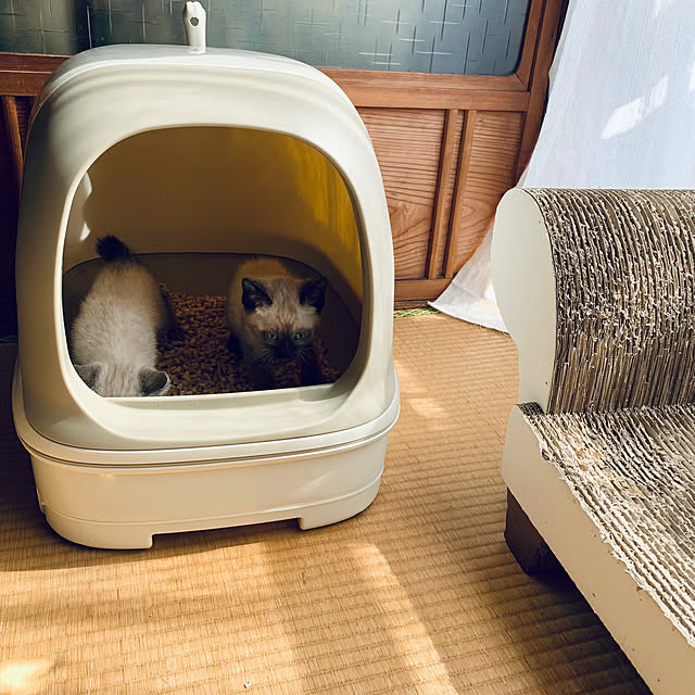 Oreoさんの部屋