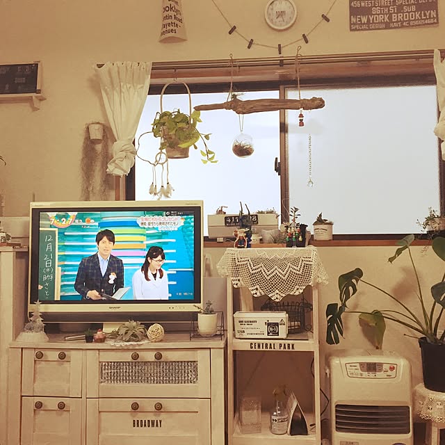 sudako-.-さんの実例写真