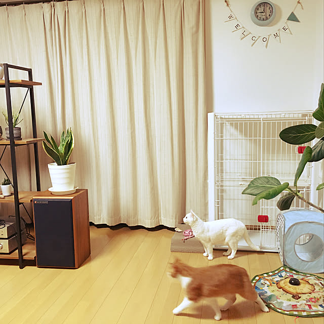 Non.Maru.Meiさんの実例写真