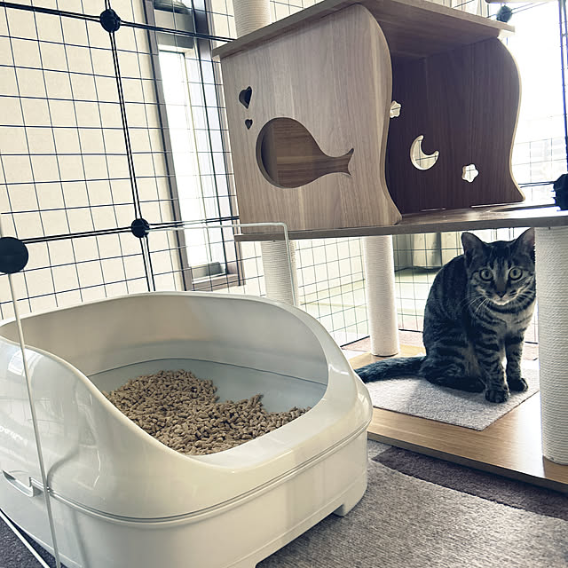 yunyumさんの部屋