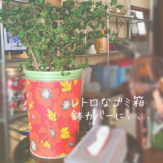 38coreさんの実例写真