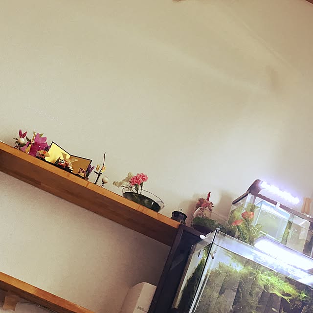 shimamausuさんの実例写真