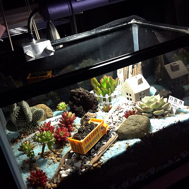 tarohagiharaさんの実例写真