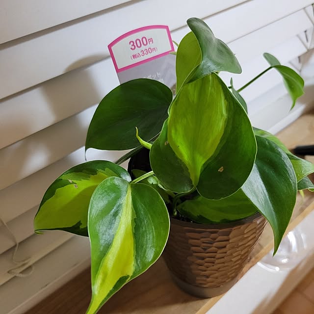 akiak.3さんの部屋