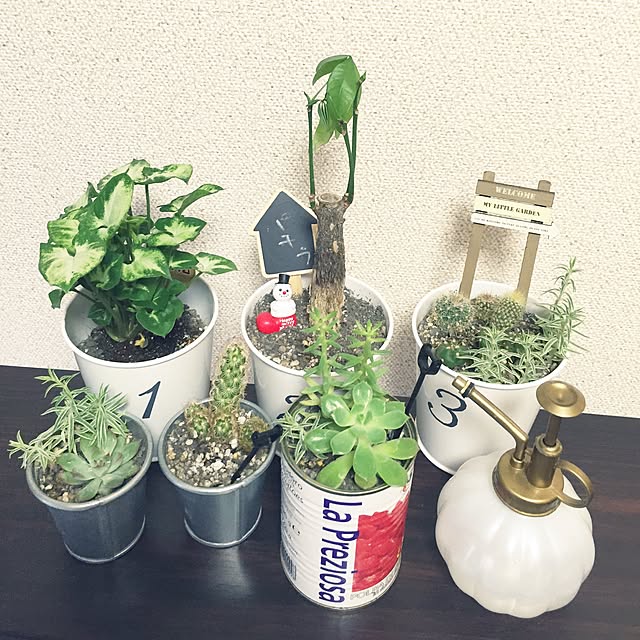 pomupomuさんの実例写真