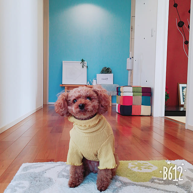 Tarutoさんの実例写真