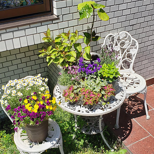 Mayumi8888さんの実例写真