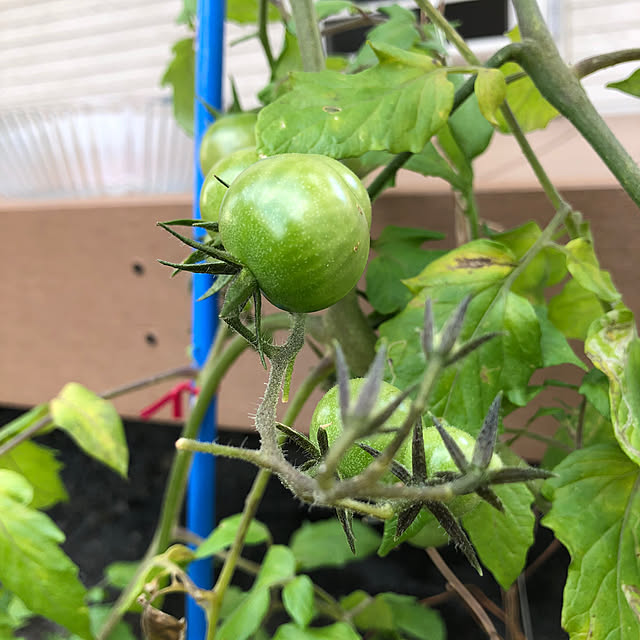 azureさんの部屋