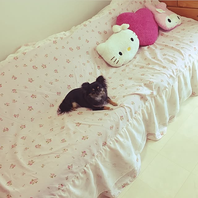 yuyuさんの実例写真