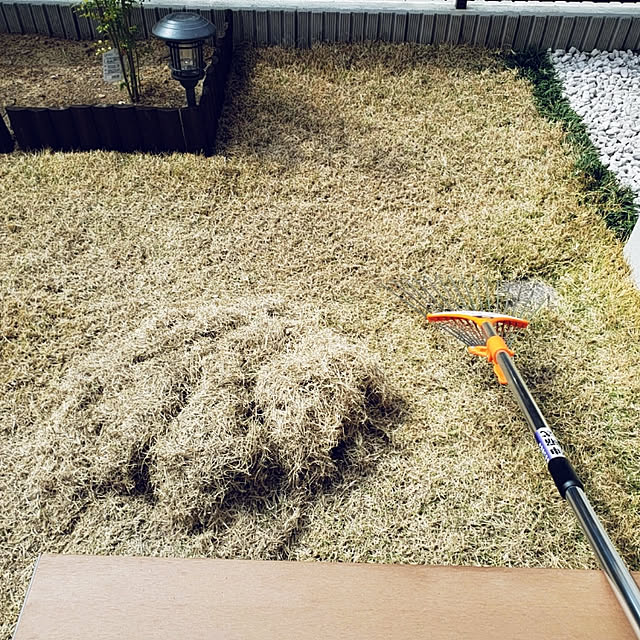 masaさんの実例写真