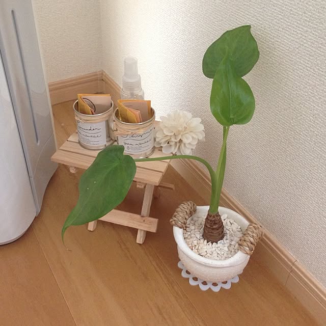 Kumikoさんの実例写真