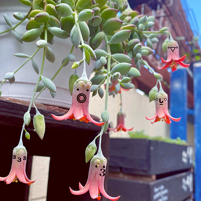 umi96さんの実例写真
