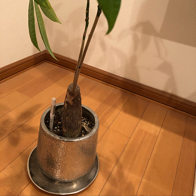 kikiraraさんの実例写真