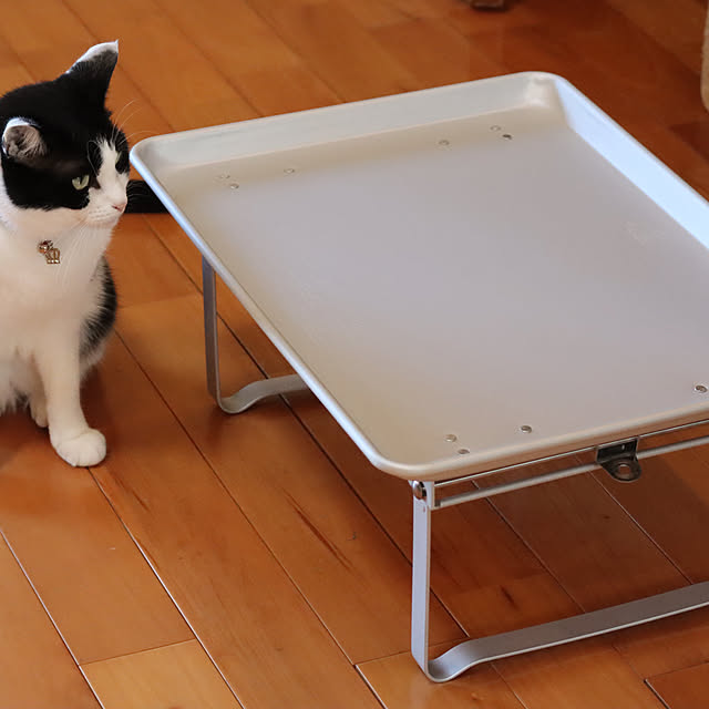 折りたたみテーブル/アルミ/Foldable Bed Table/机/PUEBCOのインテリア実例 - 2022-10-23 10:46:20