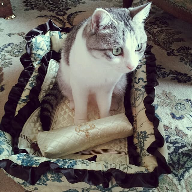 emmyyさんの実例写真