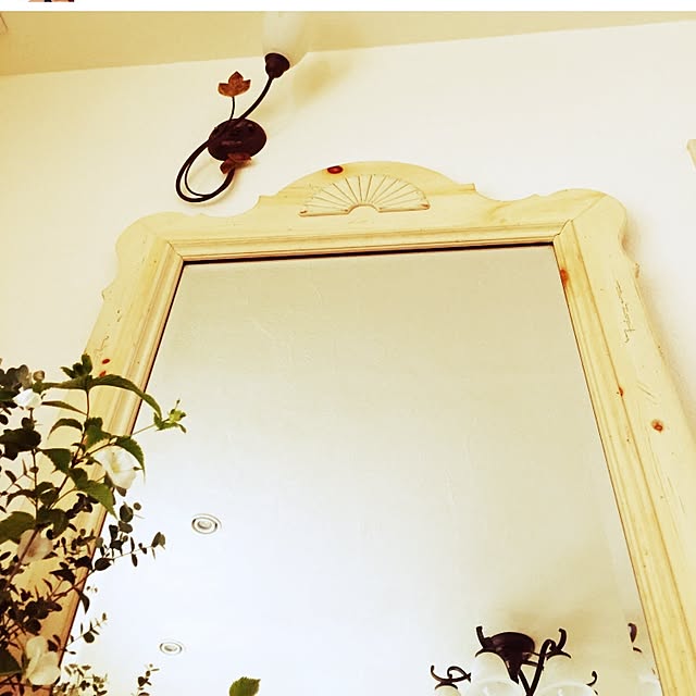 Camelliaさんの実例写真