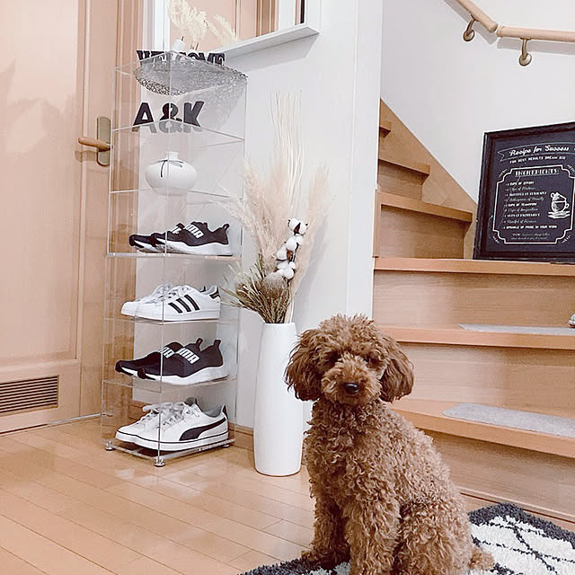 kazuさんの実例写真