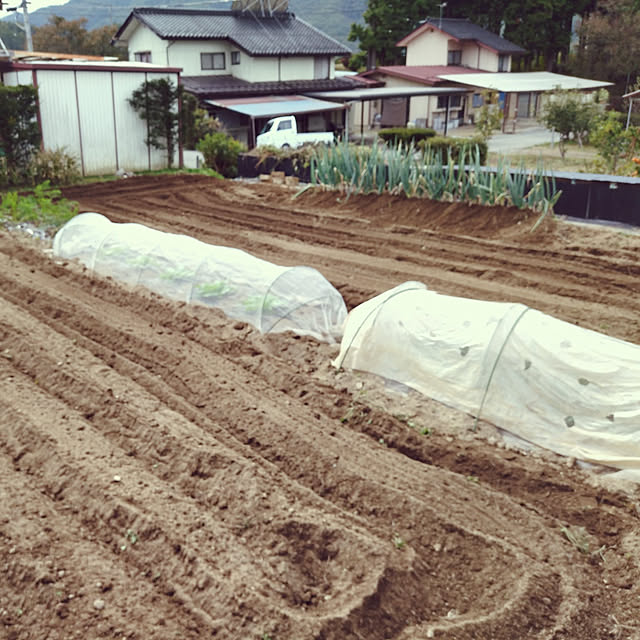 moccyan555さんの実例写真