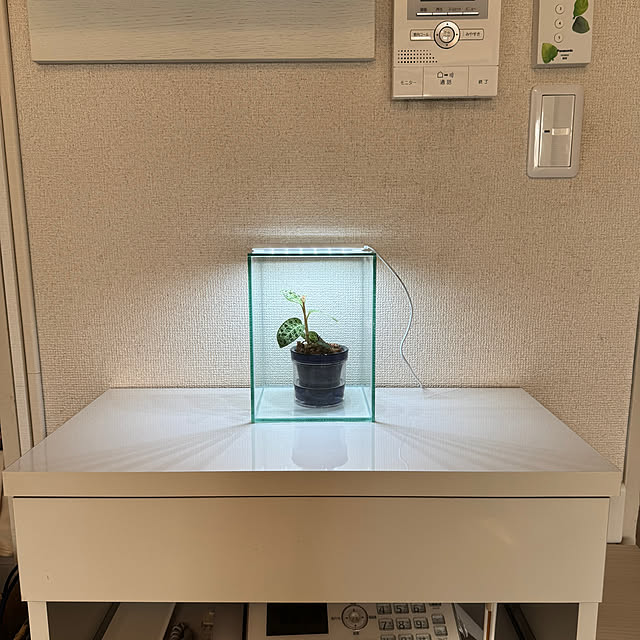 Emafuさんの実例写真