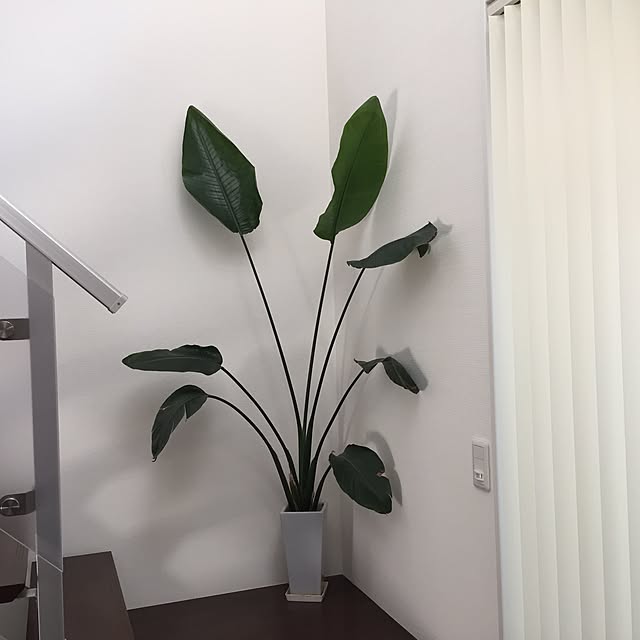 makaronさんの実例写真