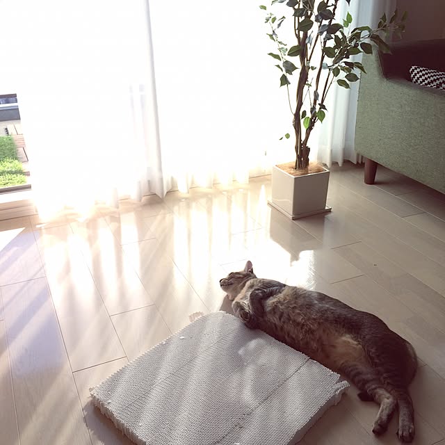 Reikoさんの実例写真