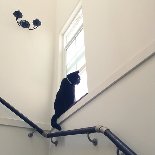 tuyuさんの実例写真