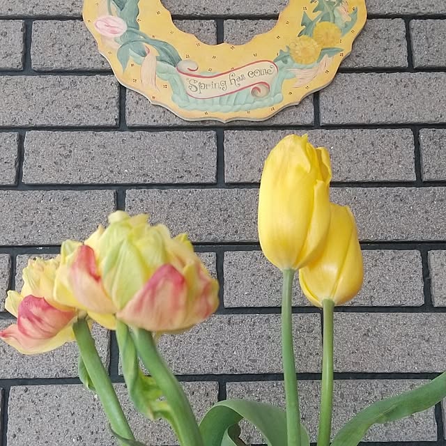 Rさんの部屋